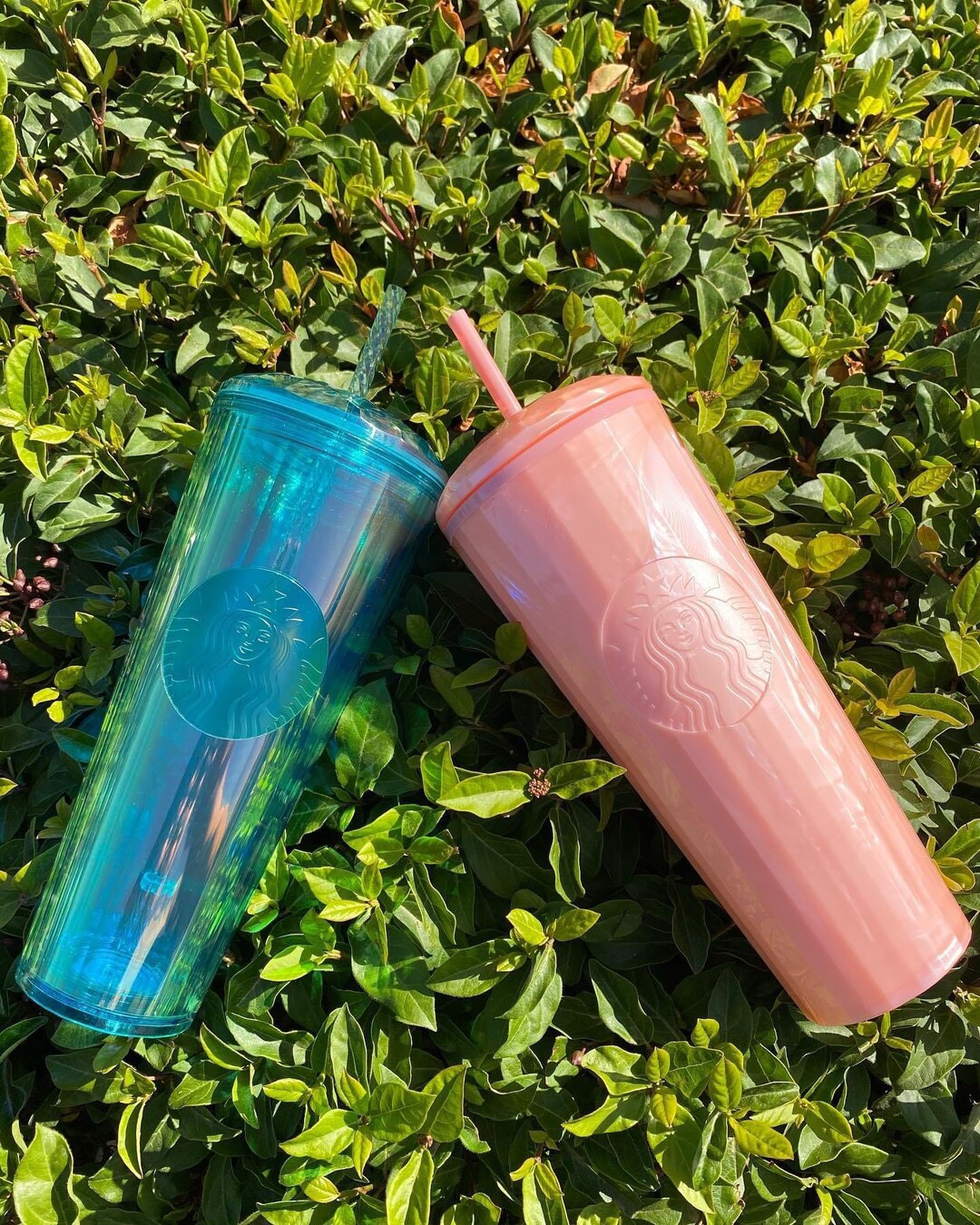 Starbucks Dome Tumbler, Turquoise, Peach Pink Dome, 24oz Tumblers Etsy