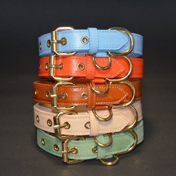 Handmade Hundehalsband Breit Lederhalsband Hund Personalisierbar Bunt Halsband mit Namen  für kleine und große Hunde personalisiert