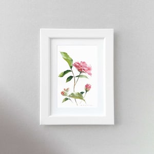 Camellia Unfolding | Original Watercolor | Floral Elegance Painting