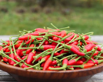 50+ Thailand Bird Eye Hot Pepper Seeds, Chili Seeds