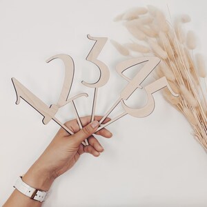 10 pcs Cake Topper Numbers for Birthday Cake Toppers 0-9