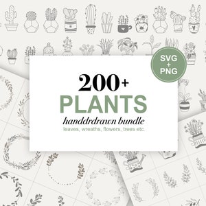 植物 SVG バンドル | 植物クリップアート SVG | 花の SVG バンドル | 花の葉と枝 SVG | 植物 SVG | サボテン SVG