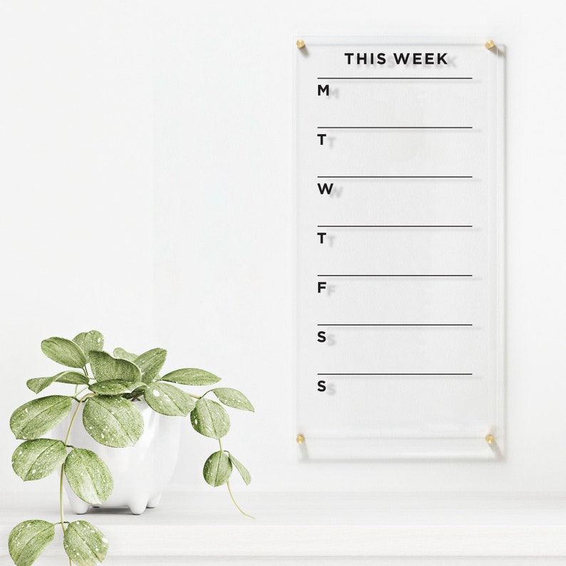 An acrylic planner to the right and a green plant to the left. A weekly planner starting from Monday with blank areas for each day top to the bottom. Gold pegs around the corners to hang it to the wall. A Sans font for the title, best for offices.