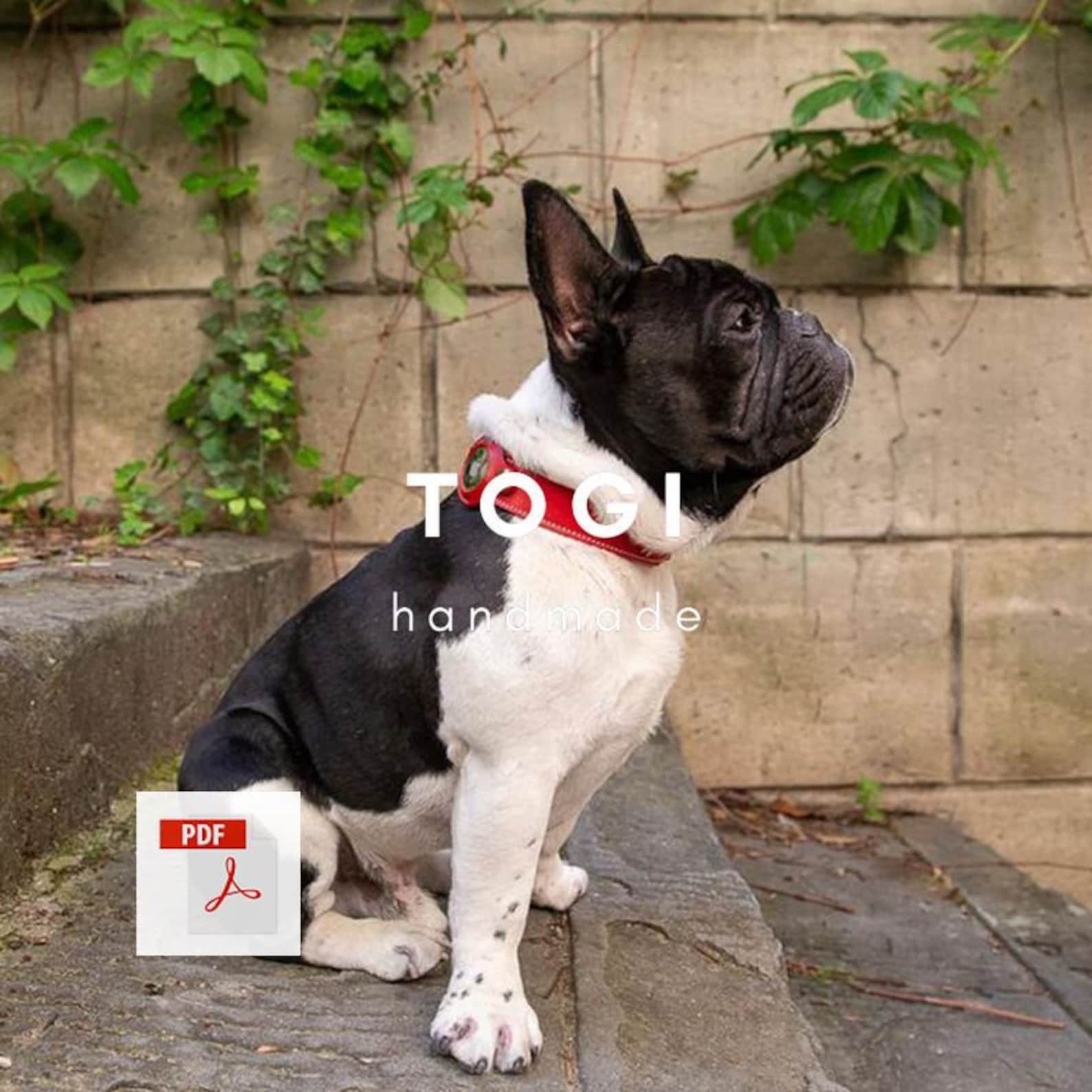 Pattern Leather Dog Collar Leather Dog Collar Size S/M/L Etsy