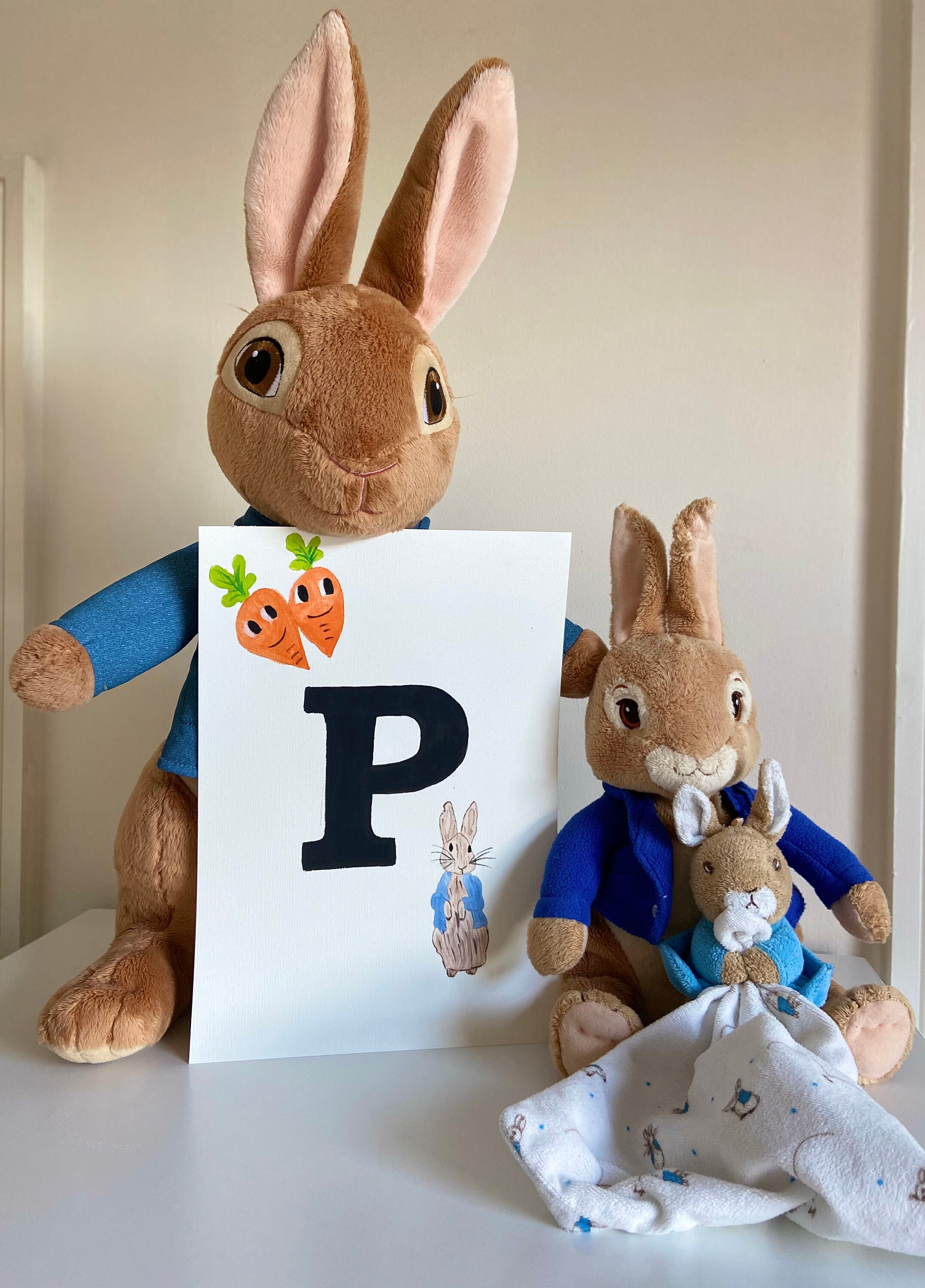 Personalised/hand painted/handdrawn/Peter Rabbit/wall art Etsy