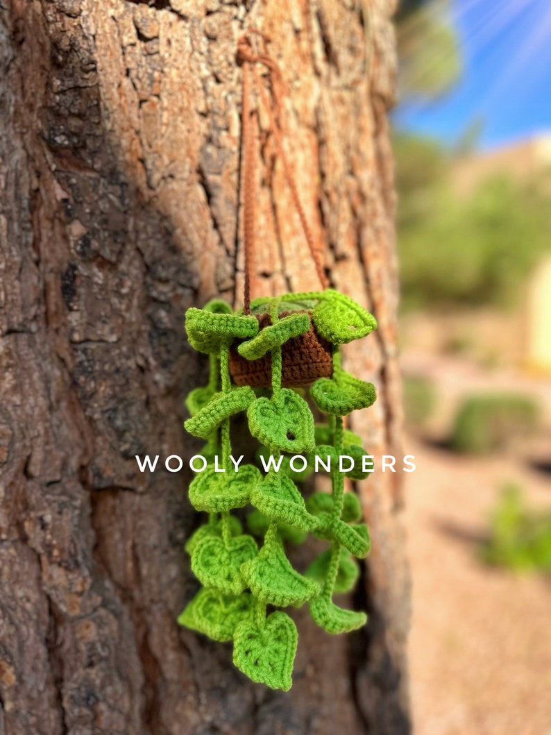 Monstera Car Plants Crochet Hanging Plants Car Accessories Etsy