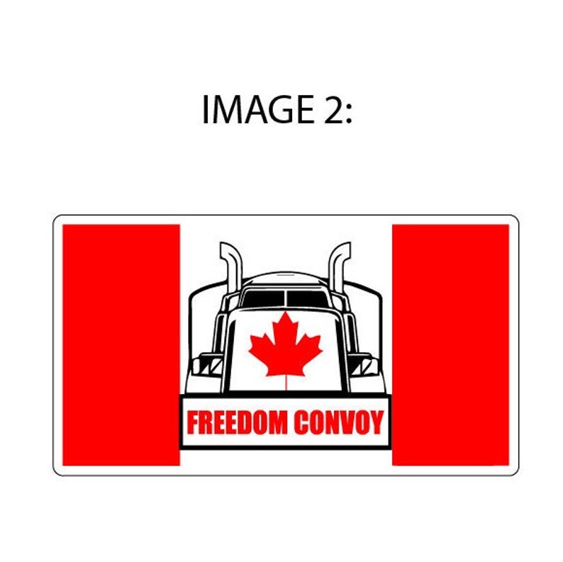 Canadian Trucker Freedom Convoy 2022 Support Fringe Minority Vinyl