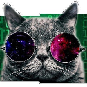 May include: A gray cat with round glasses displaying a galaxy design. The cat is set against a green background with binary code. The image is in a rounded rectangle shape.
