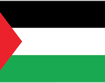 Palestine Standard Flag vinyl sticker /printed decal /label /autocollant /printed vinyl decal /label /vinyl poster for car laptop window etc