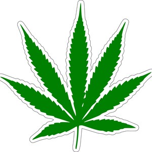 Op de afbeelding: Een groen cannabisblad met een witte rand, tegen een witte achtergrond. Het blad heeft zeven duidelijke punten en een gedetailleerde, gekartelde rand. De afbeelding is een eenvoudige, grafische weergave.