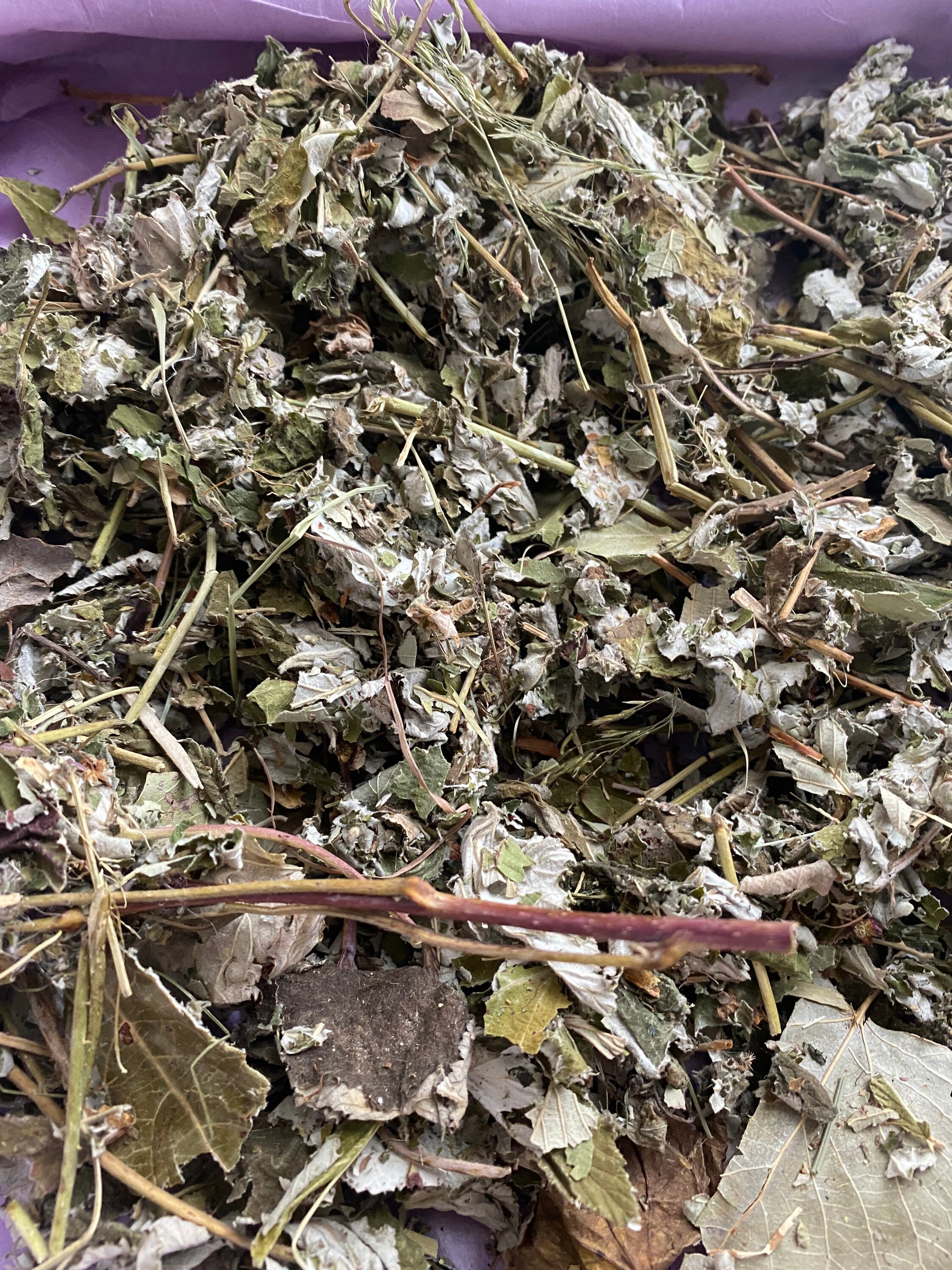 65 g Dried Organic Raspberry Leaves Etsy