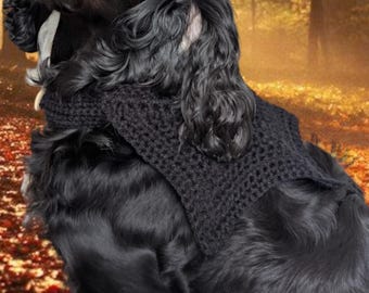Crochet bat wing bandana dog Halloween cute collar pattern digital files