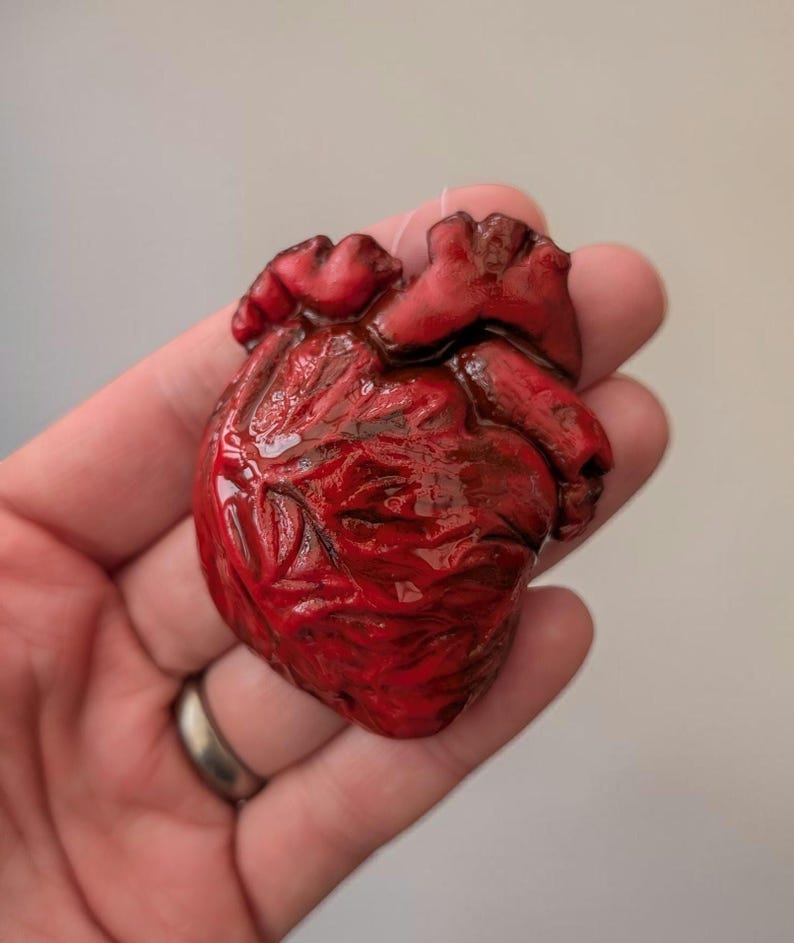 Op de afbeelding: Een gedetailleerd, rood anatomisch hartmodel met zichtbare aderen en slagaders. Het hart heeft een diepe, rijke rode kleur en lijkt gemaakt te zijn van een glanzend materiaal. Het model wordt in een hand gehouden.