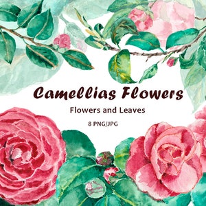 椿のクリップアート、ピンクの水彩画の花のクリップアート、誕生日のクリップアート、結婚式の花、植物画