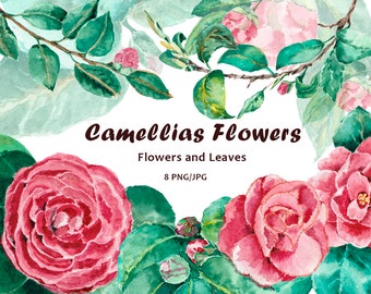 Imágenes prediseñadas de camelias rosas en acuarela: conjunto de imágenes PNG florales (descarga digital)