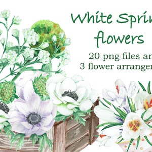 Clipart de flores brancas de primavera em aquarela para download instantâneo, convites de casamento para imprimir buquês