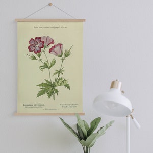 Cranesbill Blumen Leinwanddruck mit Aufhängerahmen| Fertig zum Aufhängen| Küchen Wanddekoration| Vintage Wanddekoration| Botanische Wandkunst| Kunst Leinwand