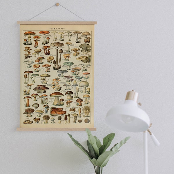 Adolphe Millot’s Mushroom Chart Canvas Print with Hanger Frames| Décor mural de cuisine| Décor mural vintage| Art mural botanique| Toile encadrée