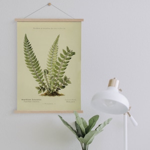 Farn Leinwand mit Aufhänger Rahmen| Fertig zum Aufhängen | Küche Wand Dekor | Vintage Wanddekor | Botanische Wandkunst | Kunst Leinwand