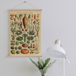 Doek Adolphe Millot's Groentenkaart met lijst voor hangers| Wanddecoratie keuken| Vintage wanddecoratie| Botanische muurkunst| Ingelijst canvas