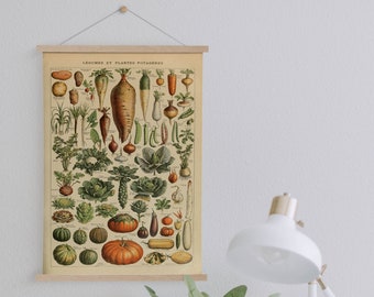 Adolphe Millot's Vegetables Chart Canvas Print with Hanger Frames| Kitchen Wall Decor| Vintage Wall Decor| Botanical Wall Art| Framed Canvas