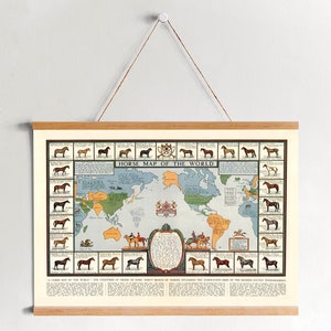 Op de afbeelding: Een vintage geïllustreerde wereldkaart die de oorsprong van verschillende paardenrassen laat zien. De kaart heeft de titel "Horse Map of the World" en toont een gedetailleerde illustratie van de wereld met verschillende paardenrassen die rond de rand van de kaart zijn afgebeeld.