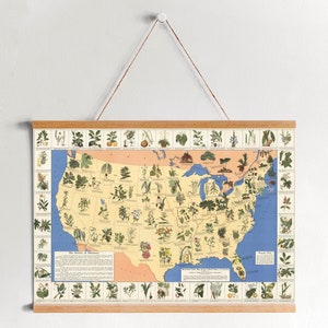 NaturHolz Gerahmte Leinwand Kunst der medizinischen Pflanzen Karte der USA| LeinwandBild| Fertig zum Aufhängen| Moderne Wandkunst| Vintage Landkarte Wanddekoration