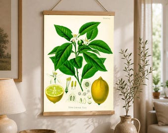 Lemon Botanical Print: Vintage Kitchen Wall Art on Canvas