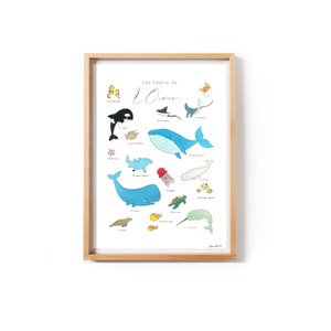 Marine Animals Original Educational Painting 26.78 x 19.3 inch