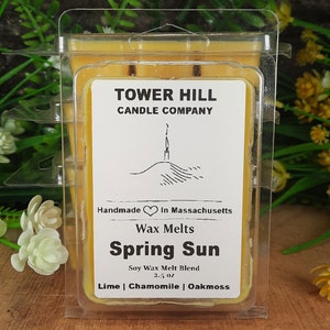 Wax Melts | Spring Sun | Tower Hill Candle Company