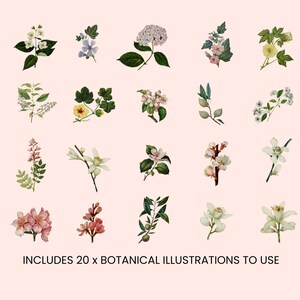 VINTAGE FLORAL Editable Skin Care Label, Apothecary Label, Botanical Label, Custom product label, Editable Cosmetic Label, Skin Care CANVA image 2