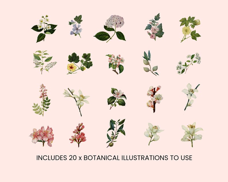 VINTAGE FLORAL Editable Skin Care Label, Apothecary Label, Botanical Label, Custom product label, Editable Cosmetic Label, Skin Care CANVA image 2