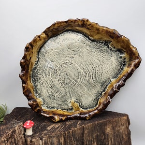 Wood Plate, Ceramic, Charcuterie, Board, Pottery, Dinner Plate, Cheese Tray, Handmade, Ceramic, Cedar Wood Artisan The Wildwood Potter image 1
