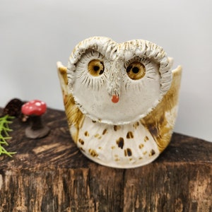 Owl Sponge Holder Handmade Pottery Ceramic Napkin Holder Gift The Wildwood Potter