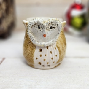 Owl Sponge Holder Handmade Pottery Ceramic Napkin Holder Gift The Wildwood Potter