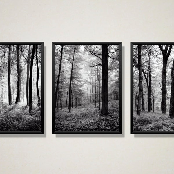 Black & White Landscape Wall Art, 3 Picture Bundle, Home Décor, Instant Digital Download, Forest Landscape