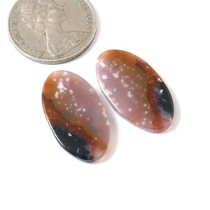 Peut inclure: Deux pierres précieuses ovales polies, aux couleurs marron, noir et lavande, parsemées de blanc. Une pièce de monnaie en argent est placée à côté pour l'échelle. Les pierres sont présentées sur un fond blanc. Idéal pour la joaillerie.