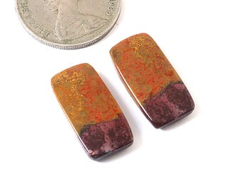 Ocean Jasper Matched Pair, Flatback Gemstone for Earring Jewelry -22x11x4mm