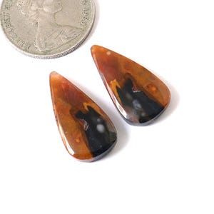 Peut inclure: Deux pierres précieuses en forme de goutte d'eau polies. Les pierres présentent un mélange de couleurs marron, noir et blanc. Une pièce de monnaie en argent est visible en arrière-plan pour l'échelle. Les pierres sont probablement destinées à la joaillerie.