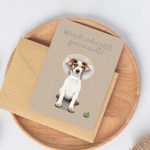 Gute Besserung - Jack Russel | Grußkarte | Werd' bald gesund | Klappkarte | A6 | 260 g
