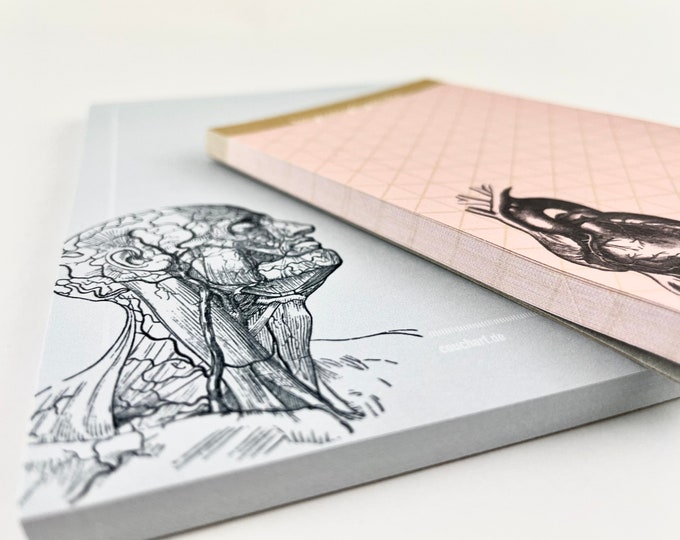 2 notepads | Set A6 and A7 | Anatomy & Heart Vintage Illustration | Gift student | Block | 50 sheets each