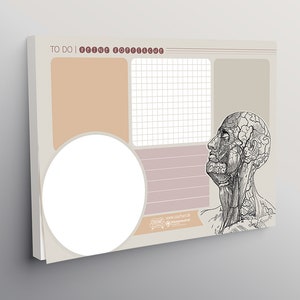 Könnte beinhalten: Notizblock mit beigem Einband und einem Design mit einer anatomischen Illustration eines menschlichen Kopfes. Der Notizblock enthält Abschnitte für Notizen, ein Raster und einen großen weißen Kreis. Der Text oben lautet "TO DO | BEING PRODUCTIVE".