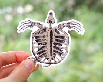Archelon Etsy Archelon Etsy