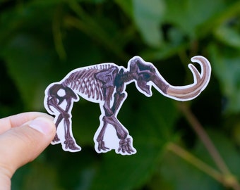 Mammoth Fossil Sticker