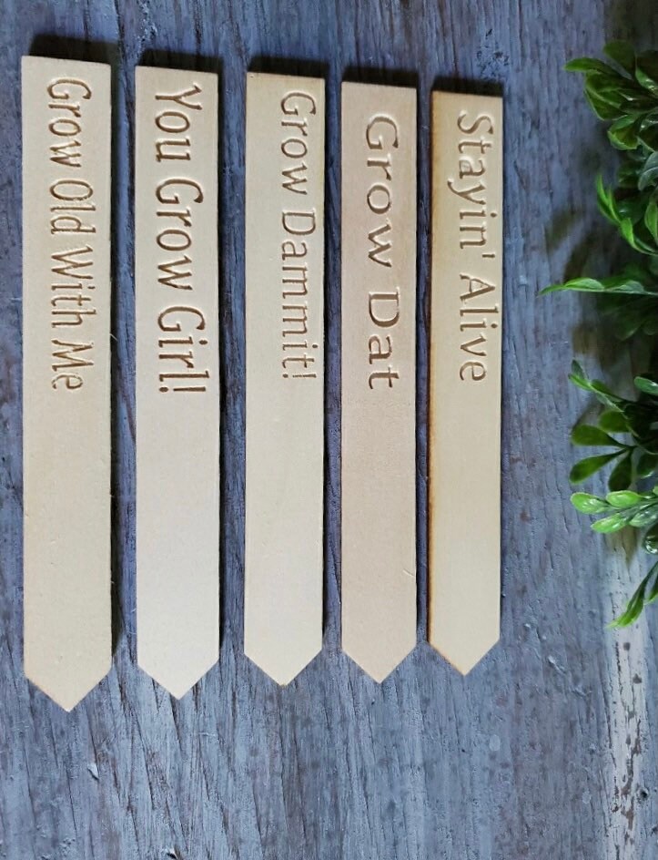 Funny Garden Stakes Pun Plant Stakes Herb Markers Plant Etsy