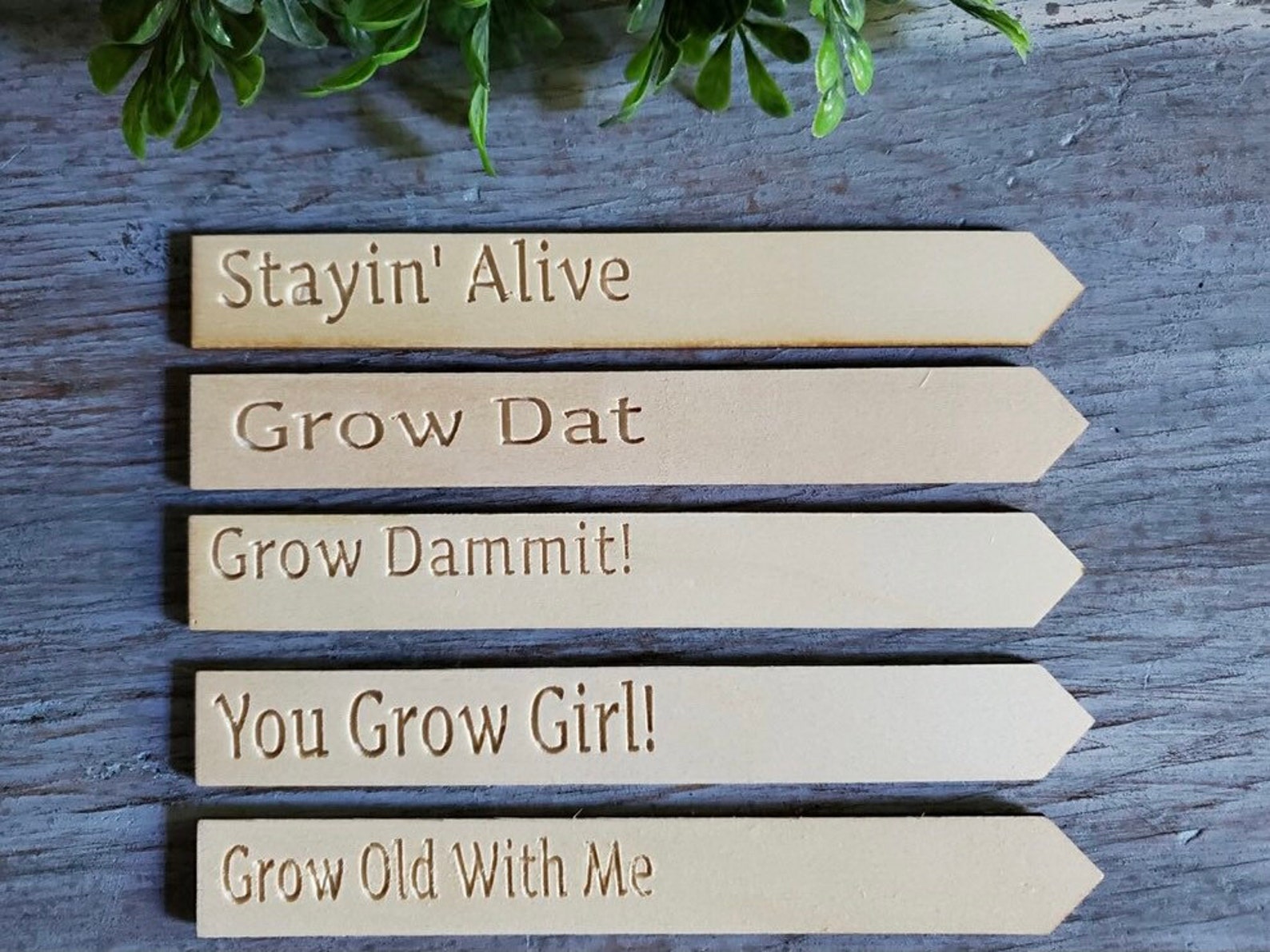 Funny Garden Stakes Pun Plant Stakes Herb Markers Plant Etsy