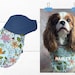 see more listings in the Dog BIBS section