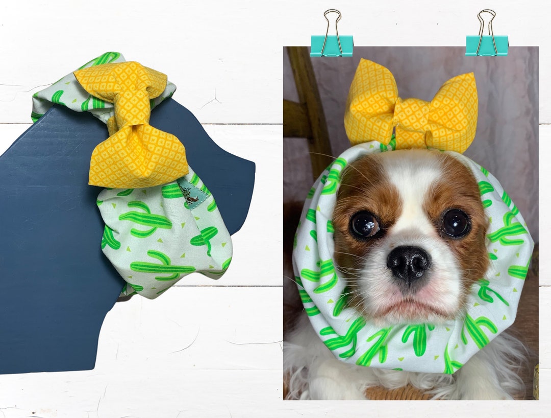 Adjustable Dog Snood Protect Long Ears While Eating/walking, Show Dogs