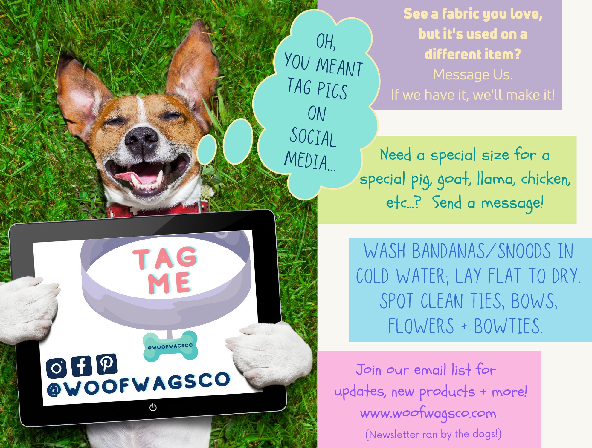 What If A Dog Eats Candy Corn