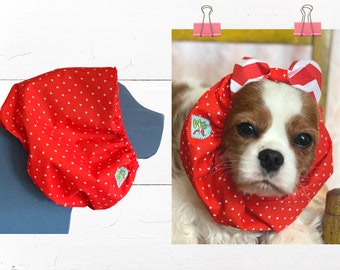 Adjustable Dog Snood: VALENTINE MINI HEART great for spreading love all year and Protect Long Ears, Show Dog + Cavalier King Charles Spaniel